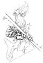 hrw_d010314.gif